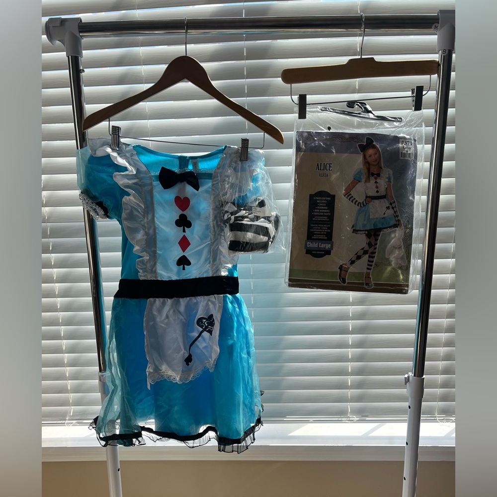 Child's Alice in Wonderland costume